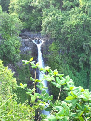Janet Gervers Photograph, Maui Waterfall 2007