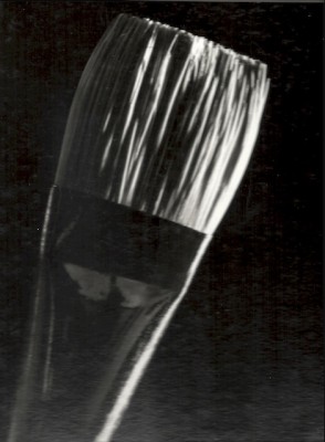 Janet-Gervers Photography, Paintbrush, 4x5 format Photography 1985